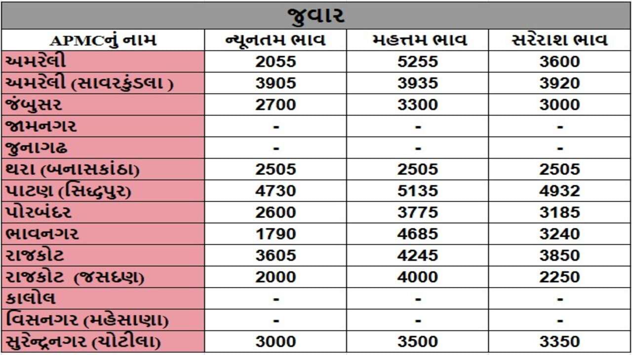 જુવારના તા.30-12-2024ના રોજ APMCના ભાવ રૂ.1790 થી 5255 રહ્યા.