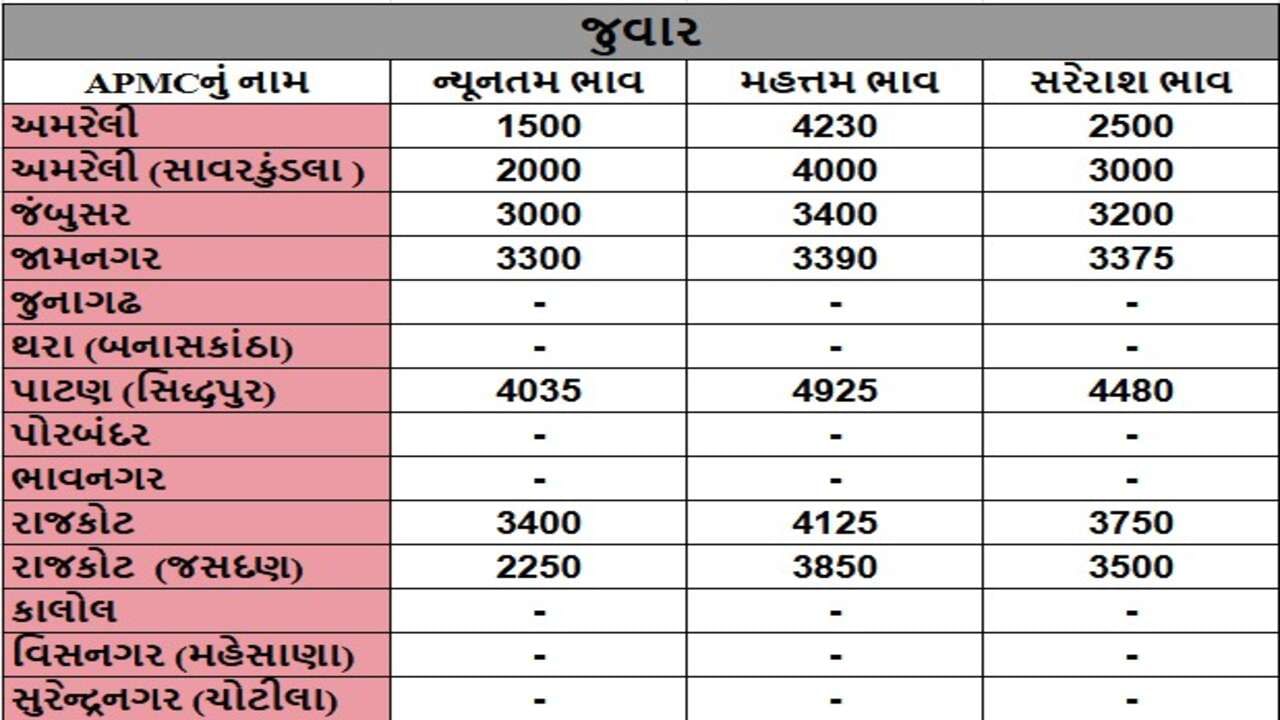 જુવારના તા.16-12-2024ના રોજ APMCના ભાવ રૂ.1500 થી 4925 રહ્યા.