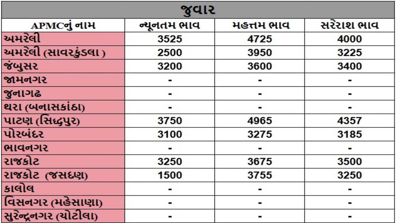 જુવારના તા.09-12-2024ના રોજ APMCના ભાવ રૂ.1500 થી 4965 રહ્યા.