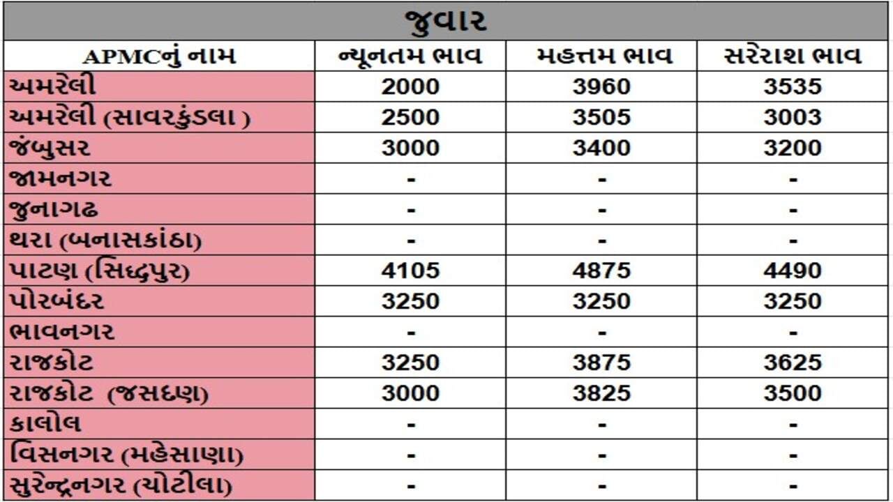 જુવારના તા.10-12-2024ના રોજ APMCના ભાવ રૂ.2000 થી 4875 રહ્યા.