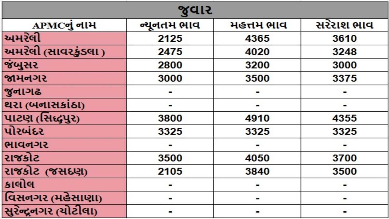 જુવારના તા.12-12-2024ના રોજ APMCના ભાવ રૂ.2105 થી 4910 રહ્યા.