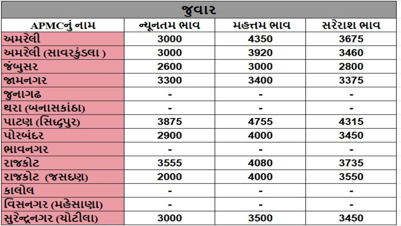 જુવારના તા.02-12-2024ના રોજ APMCના ભાવ રૂ.2000 થી 4755 રહ્યા.