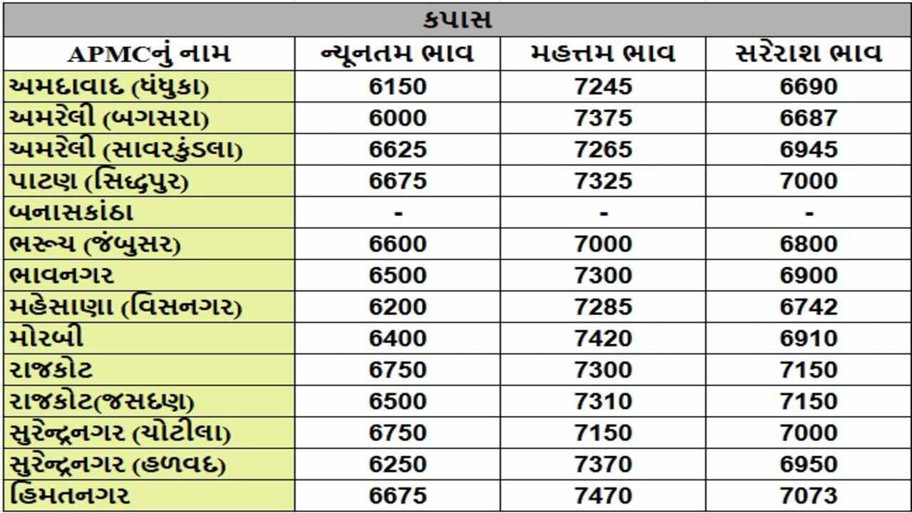 કપાસના તા.19-12-2024ના રોજ APMCના ભાવ રૂ.6000 થી 7470 રહ્યા.