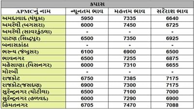 કપાસના તા.20-12-2024ના રોજ APMCના ભાવ રૂ.5950 થી 7470 રહ્યા.
