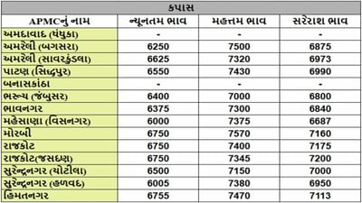 કપાસના તા.24-12-2024ના રોજ APMCના ભાવ રૂ.6000 થી 7570 રહ્યા.