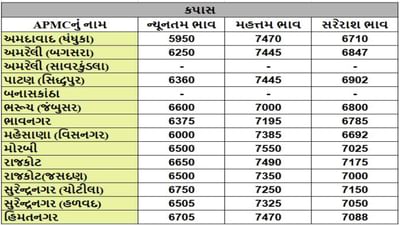 કપાસના તા.26-12-2024ના રોજ APMCના ભાવ રૂ.5950 થી 7550 રહ્યા.