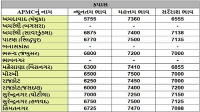કપાસના તા.05-12-2024ના રોજ APMCના ભાવ રૂ.5755 થી 7500 રહ્યા.
