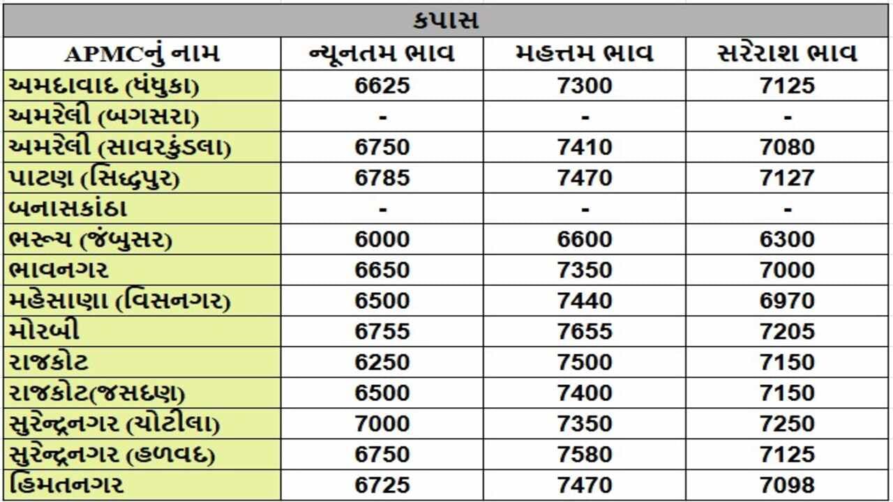 કપાસના તા.09-12-2024ના રોજ APMCના ભાવ રૂ.6000 થી 7655 રહ્યા.