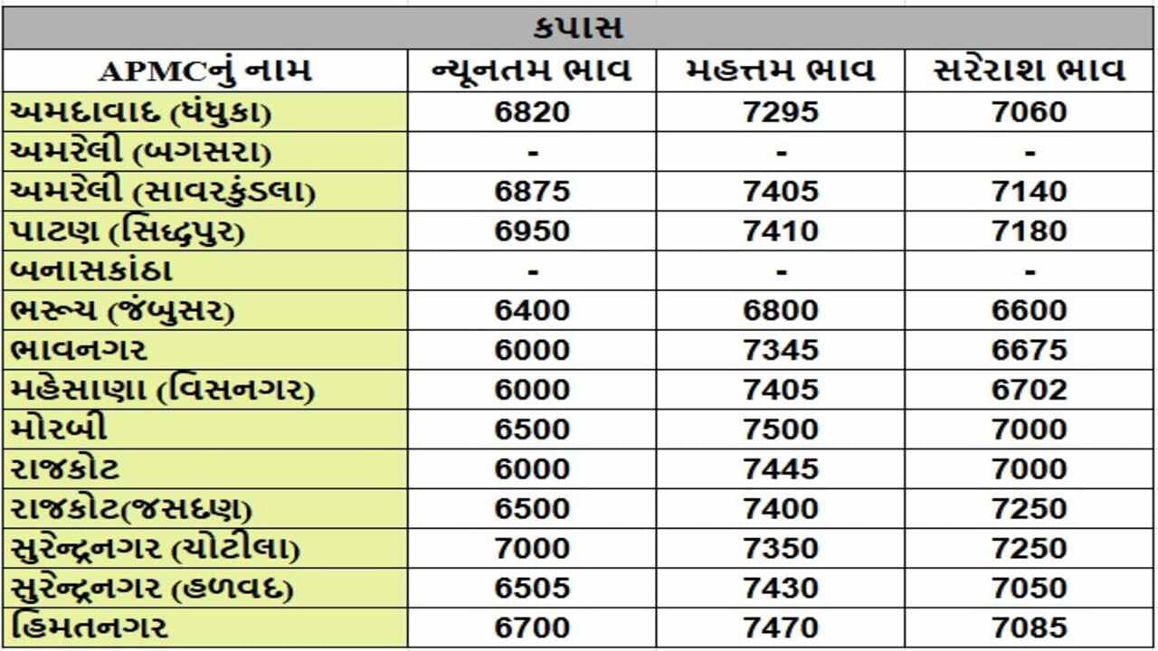 કપાસના તા.10-12-2024ના રોજ APMCના ભાવ રૂ.6000 થી 7500 રહ્યા.