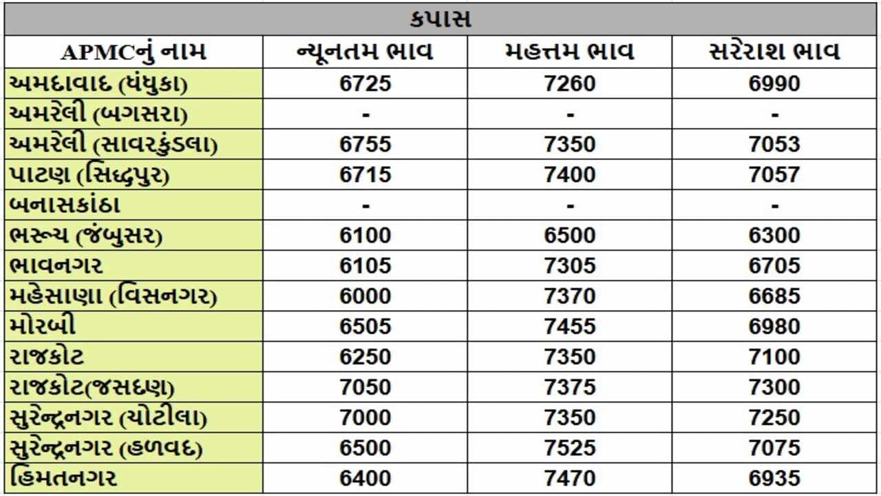 કપાસના તા.11-12-2024ના રોજ APMCના ભાવ રૂ.6000 થી 7470 રહ્યા.