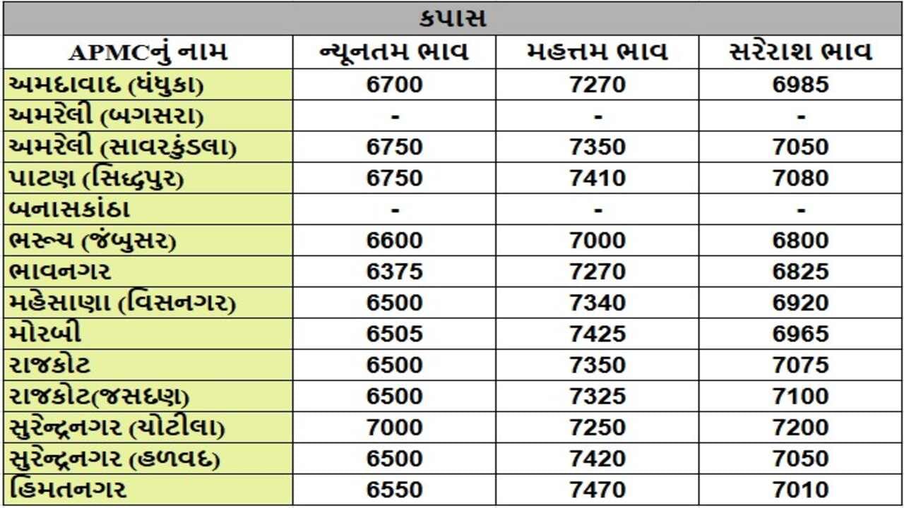 કપાસના તા.12-12-2024ના રોજ APMCના ભાવ રૂ.6375 થી 7470 રહ્યા.