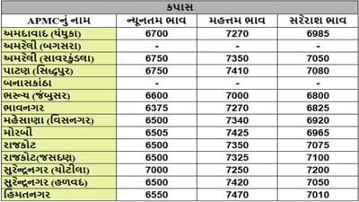કપાસના તા.12-12-2024ના રોજ APMCના ભાવ રૂ.6375 થી 7470 રહ્યા.