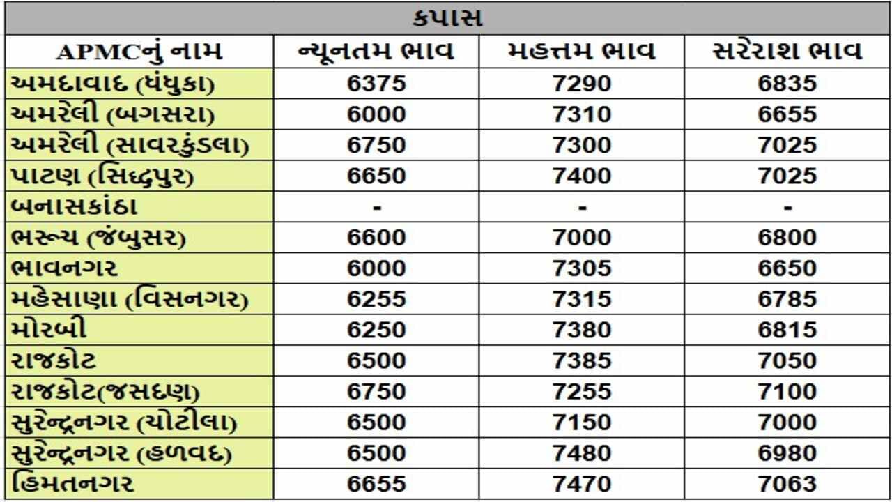 કપાસના તા.16-12-2024ના રોજ APMCના ભાવ રૂ.6000 થી 7480 રહ્યા.