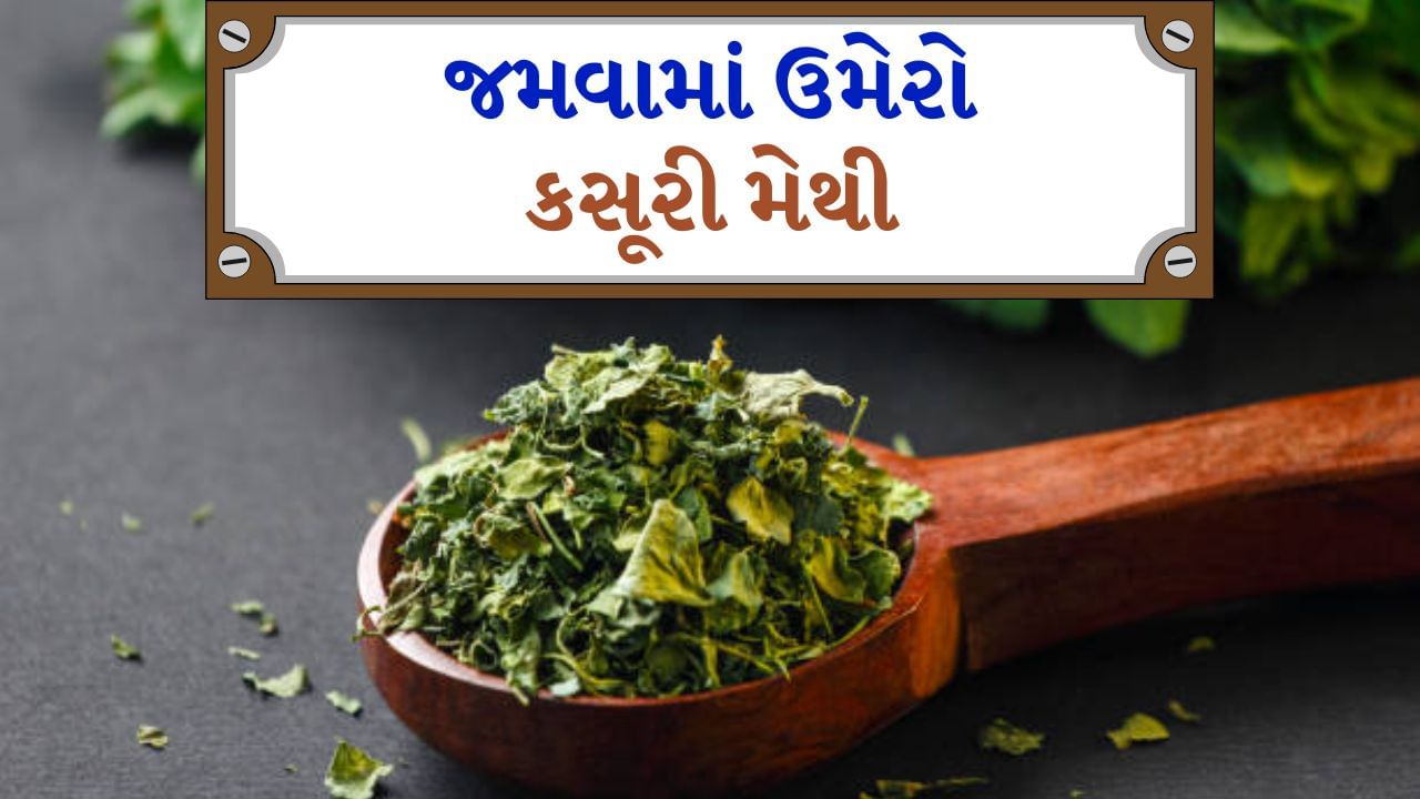 Kasuri Methi Benefits : કસૂરી મેથી ભારતીય રસોડાનો એક ખૂબ જ ખાસ મસાલો છે. જેનો ઉપયોગ કેટલીક ખાસ વાનગીઓમાં થાય છે. તેનાથી ભોજનનો સ્વાદ બમણો થાય છે અને ખાવાની સુગંધ વધે છે.
