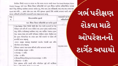 Mehsana : હવે હેલ્થ ઓફિસરોને અપાયા નવા ટાર્ગેટ, ગર્ભ પરીક્ષણ રોકવા માટે સ્ટિંગ કરવા સૂચન, જુઓ Video