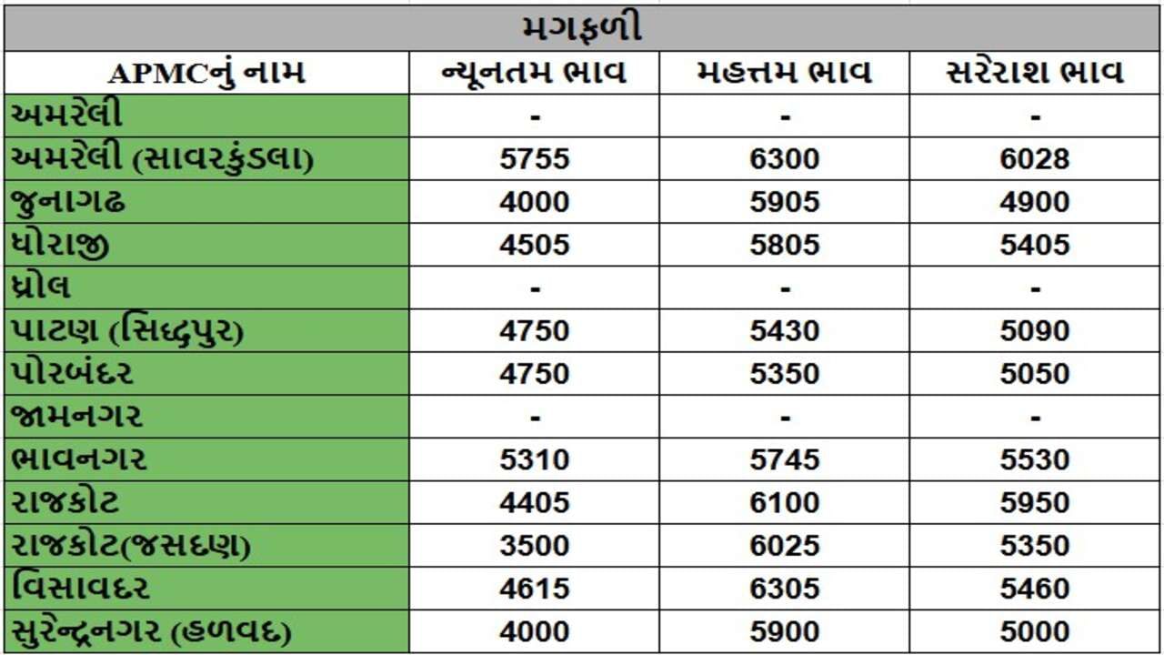 મગફળીના તા.04-12-2024ના રોજ APMCના ભાવ રૂ.3500 થી 6305 રહ્યા.