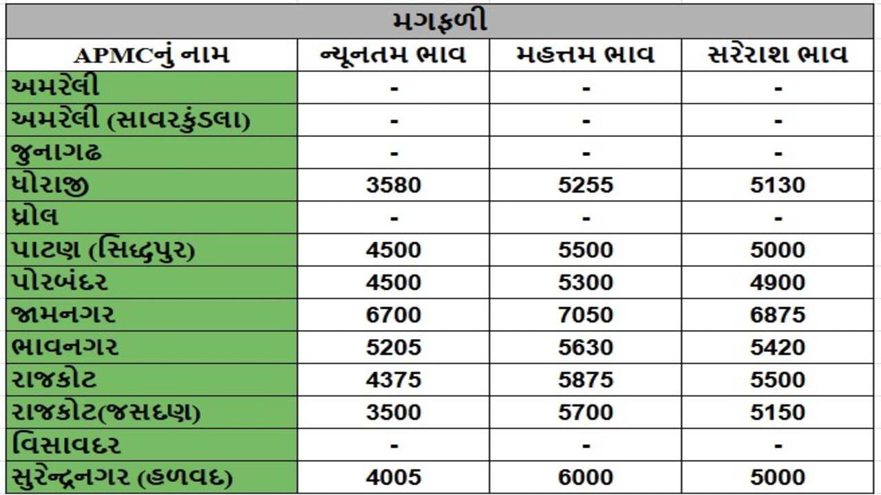 મગફળીના તા.20-12-2024ના રોજ APMCના ભાવ રૂ.3500 થી 7050 રહ્યા.