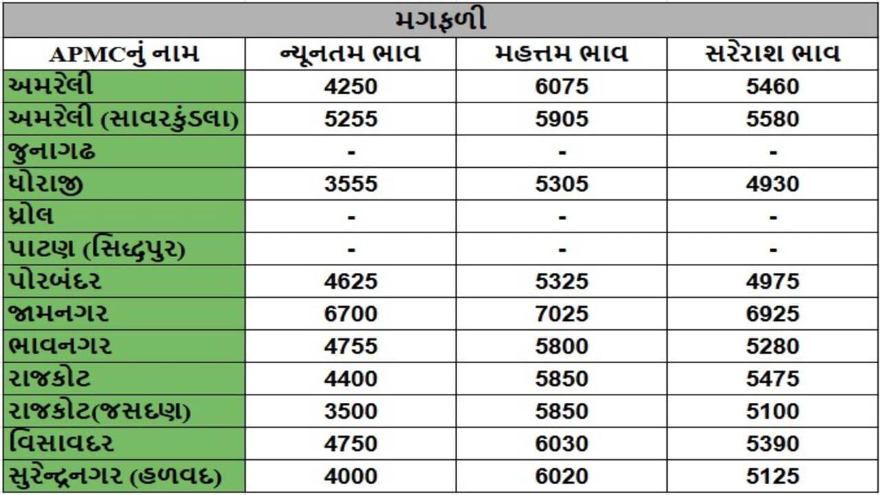 મગફળીના તા.23-12-2024ના રોજ APMCના ભાવ રૂ.3500 થી 7025 રહ્યા.