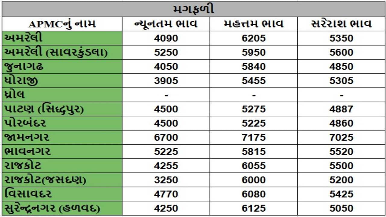 મગફળીના તા.09-12-2024ના રોજ APMCના ભાવ રૂ.3250 થી 7175 રહ્યા.