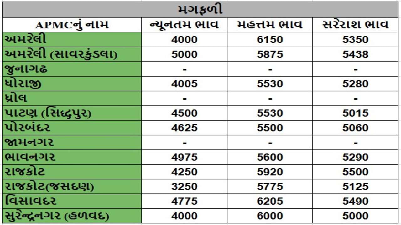 મગફળીના તા.10-12-2024ના રોજ APMCના ભાવ રૂ.3250 થી 6205 રહ્યા.