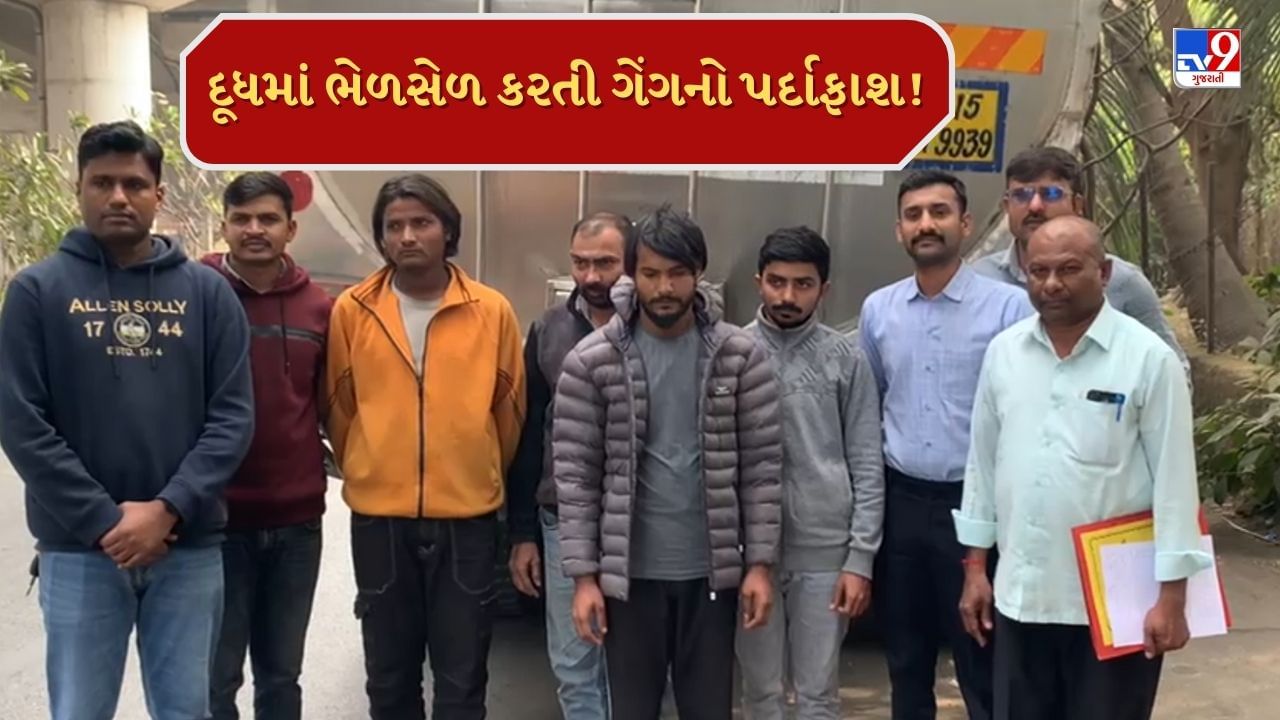 Navsari : દૂધમાં પાણીની ભેળસેળ કરતી ગેંગનો પર્દાફાશ, SOGએ 4 આરોપીની કરી ધરપકડ, જુઓ Video