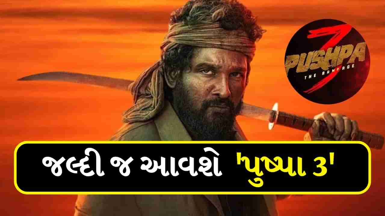 Pushpa 3 Rampage : પુષ્પા 2 પછી અલ્લુ અર્જુન ફરી કરશે ધમાકો, બ્લોકબસ્ટર હશે સ્ટોરી