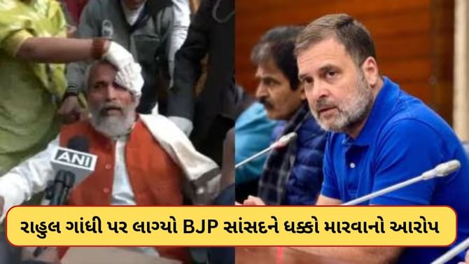 રાહુલ ગાંધીએ BJP સાંસદને માર્યો ધક્કો ? જુઓ-Video