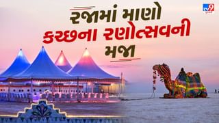 Travel With Tv9 : 3 દિવસની રજામાં મિત્રો સાથે માણો કચ્છના રણોત્સવની મજા, જુઓ ફોટા