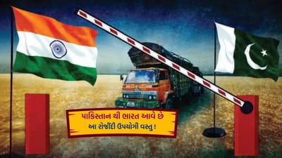 ભારતની આઝાદી પહેલા જ દેશના વિભાજનનો નિર્ણય લેવામાં આવ્યો હતો. 15 ઓગસ્ટ 19947ના રોજ ભારતને આઝાદી મળી હતી. તેના એક દિવસ પહેલા જ એક નવા દેશ પાકિસ્તાનની રચના થઈ હતી, જે શરૂઆતથી જ ભારત માટે માથાનો દુખાવો બની રહ્યો છે. ભારત અને પાકિસ્તાન વચ્ચે ત્રણ યુદ્ધો થયા હતા. પરંતુ બંને દેશો વચ્ચે વેપાર ચાલુ રહ્યો.મહત્વનું છે કે હવે પહલગામ એટેકને લઈ આ ઇમ્પોર્ટને લઈ સવાલ ઊભો થયો છે.