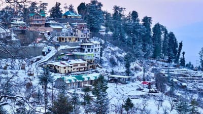 હિમાચલમાં આવેલુ શિમલા ભારતવાસીઓનું ફરવા માટેનું ફેવરેટ સ્થળ છે. અહીં લોકો દૂર દૂરથી ફરવા માટે આવતા હોય છે. ખાણીપીણી અને ખરીદીના શોખીન લોકો માટે આ એક સારી જગ્યા છે. મોલ રોડ કાફે, રેસ્ટોરન્ટ, શોરૂમ અને સ્થાનિક દુકાનોથી ભરેલો છે. તમને વિશિષ્ટ હસ્તકલા, ઝવેરાત અને અન્ય લોકલ વસ્તુઓ પણ મળી શકે છે.  