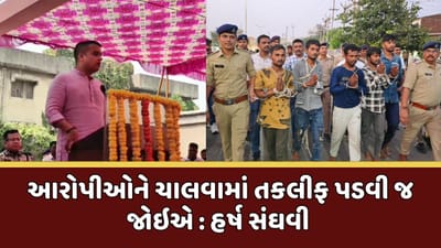 હમણાં જે વરઘોડા નીકળે છે તે ખૂબ સારા નીકળે છે, જાણો હર્ષ સંઘવી કેમ કહ્યું આવું 