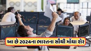 Year Ender 2024: આ છે દેશના 10 સૌથી મોંઘા શેર, લાખોમાં છે કિંમત, એકે તો તોડ્યો બધાનો રેકોર્ડ, રાતોરાત બનાવી દીધો કરોડપતિ