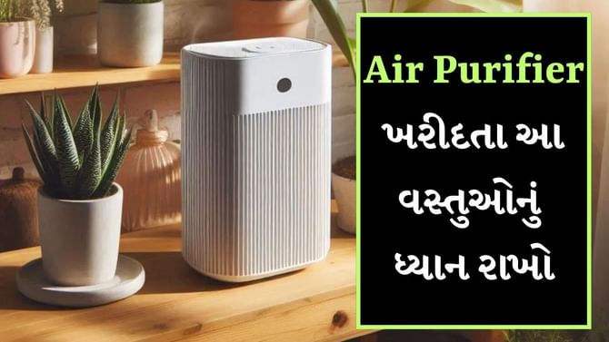 Air Purifier માં પૈસાનું રોકાણ કરતા પહેલા આ 2 બાબતો ચોક્કસથી ચેક કરો