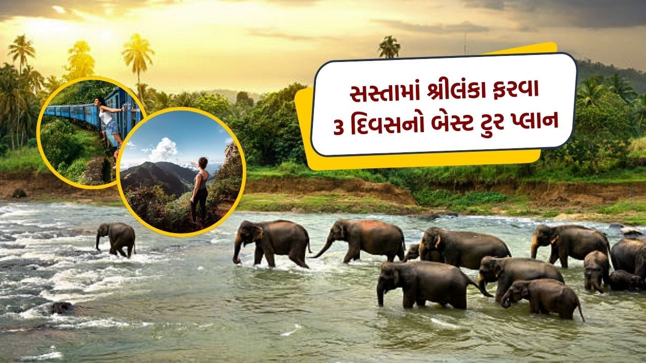 3 દિવસનો ટ્રાવેલિંગ પ્લાન બનાવી રહ્યા છો તો તમારા માટે શ્રીલંકા બેસ્ટ છે. 50,000 ના ખર્ચમાં તમે વિદેશ ટુર કરી શકો છો. અહીં તમામ માહિતી આ માટે આપવામાં આવી છે, 