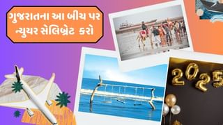 Travel Tips : ઓછા પૈસામાં ગુજરાતના આ બીચ પર ન્યુયર સેલિબ્રેટ કરવાનો પ્લાન બનાવો, જુઓ ફોટો