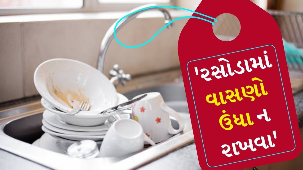 શાસ્ત્રોમાં રસોડા સાથે જોડાયેલા ઘણા નિયમો જણાવવામાં આવ્યા છે. જેનું પાલન કરવામાં આવે તો ઘરમાં સુખ-સમૃદ્ધિ રહે છે. રસોડામાં જાણતા-અજાણતા કરવામાં આવેલી ભૂલો પરિવાર પર નેગેટિવ ઈફેક્ટ કરે છે. 
