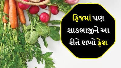 Fresh Vegetables Tips: શાકભાજી આપણા આહારનો એક મહત્વપૂર્ણ ભાગ છે. આજકાલ બિઝી લાઈફના કારણે લોકો અઠવાડિયા માટે એક જ વારમાં શાકભાજી ખરીદે છે. પરંતુ મોંઘવારી પણ એક કારણ છે, જેના કારણે લોકો બજારમાં હોલસેલ ભાવે શાકભાજી ખરીદવાનું પસંદ કરે છે. આટલી બધી શાકભાજી ખરીદ્યા પછી જ્યારે તેનો યોગ્ય રીતે સંગ્રહ કરી શકાતો નથી ત્યારે સમસ્યા સર્જાય છે.
