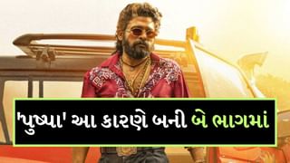 Pushpa 2 : ન તો અલ્લુ અર્જુન, ન સુકુમાર… આ વ્યક્તિનો હતો ‘પુષ્પા’ને બે ભાગમાં બનાવવાનો વિચાર