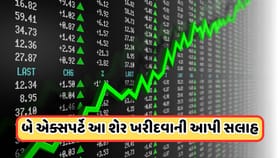 ફરી એકવાર 300ને પાર જશે આ સરકારી શેર? એક્સપર્ટે કહ્યું કરો રોકાણ