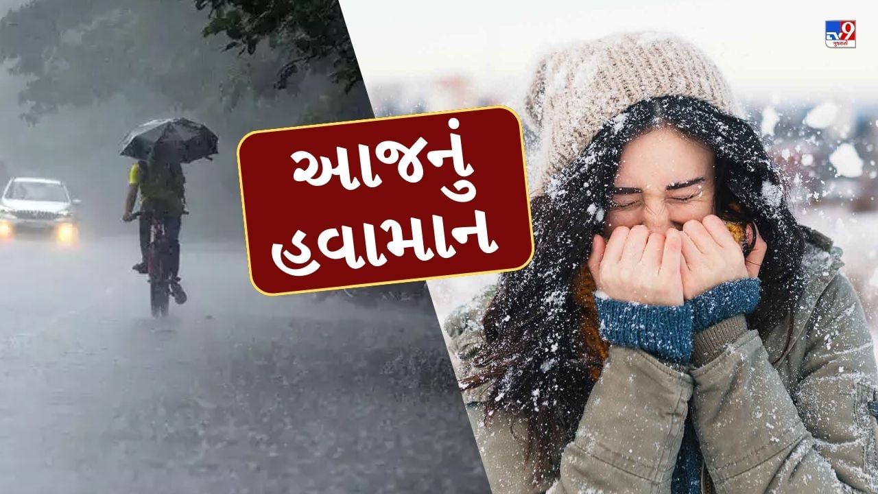 આજનું હવામાન : ગુજરાતમાં ઠુંઠવાતી ઠંડીમાં માવઠાની આગાહી, ખેડૂતોમાં ચિંતાનો માહોલ, જુઓ Video