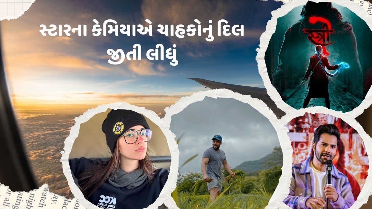 બોલિવુડ ફિલ્મોની આકર્ષક સ્ટોરીઓ હંમેશા ચાહકોનું દિલ જીતતી રહી છે. વર્ષ 2024માં અનેક સુપર હિટ ફિલ્મો રિલીઝ થઈ છે, આ સાથે કેટલીક ફિલ્મોમાં કેમિયોએ ચાહકોનું દિલ જીતી લીધું છે. તો ચાલો આ વર્ષના બેસ્ટ કેમિયો વિશે વાત કરીએ.