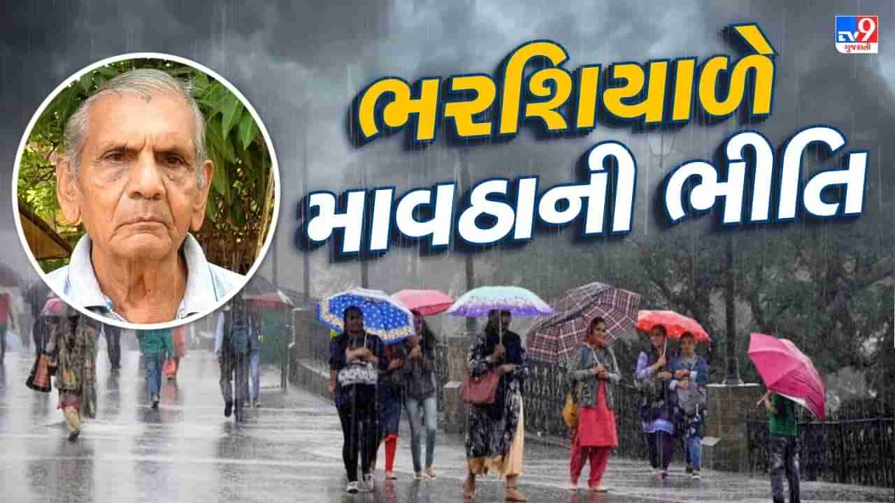 ભરશિયાળે રાજ્યમાં માવઠુ થવાની અંબાલાલે કરી આગાહી, સ્વેટરની સાથે રેઈનકોટ પણ રાખજો તૈયાર- Video