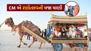 Kutch Rann Utsav 2024 : ધોરડો ખાતે રણોત્સવનો વિધિવત પ્રારંભ, CM ભુપેન્દ્ર પટેલે શેર કરી તસવીર