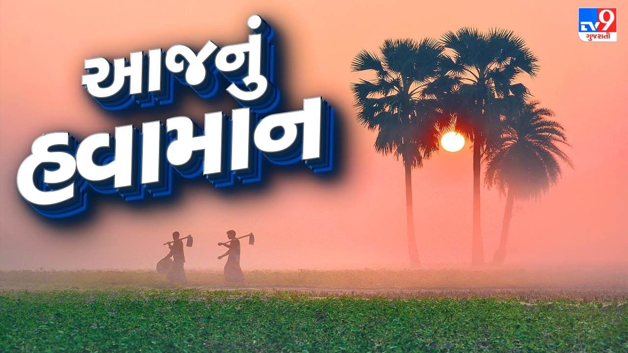 આજનું હવામાન : ગુજરાતમાં કાતિલ ઠંડી વચ્ચે માવઠાની આગાહી, જાણો ક્યાં પડશે કમોસમી વરસાદ, જુઓ Video