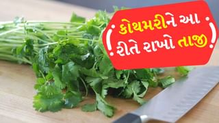 Kitchen Hacks : ડુંગળી કાપતી વખતે નહીં આવે આંસુ અને નહીં સુકાઈ કોથમરી, આ 3 સરળ કિચન હેક્સ કામને બનાવશે સરળ