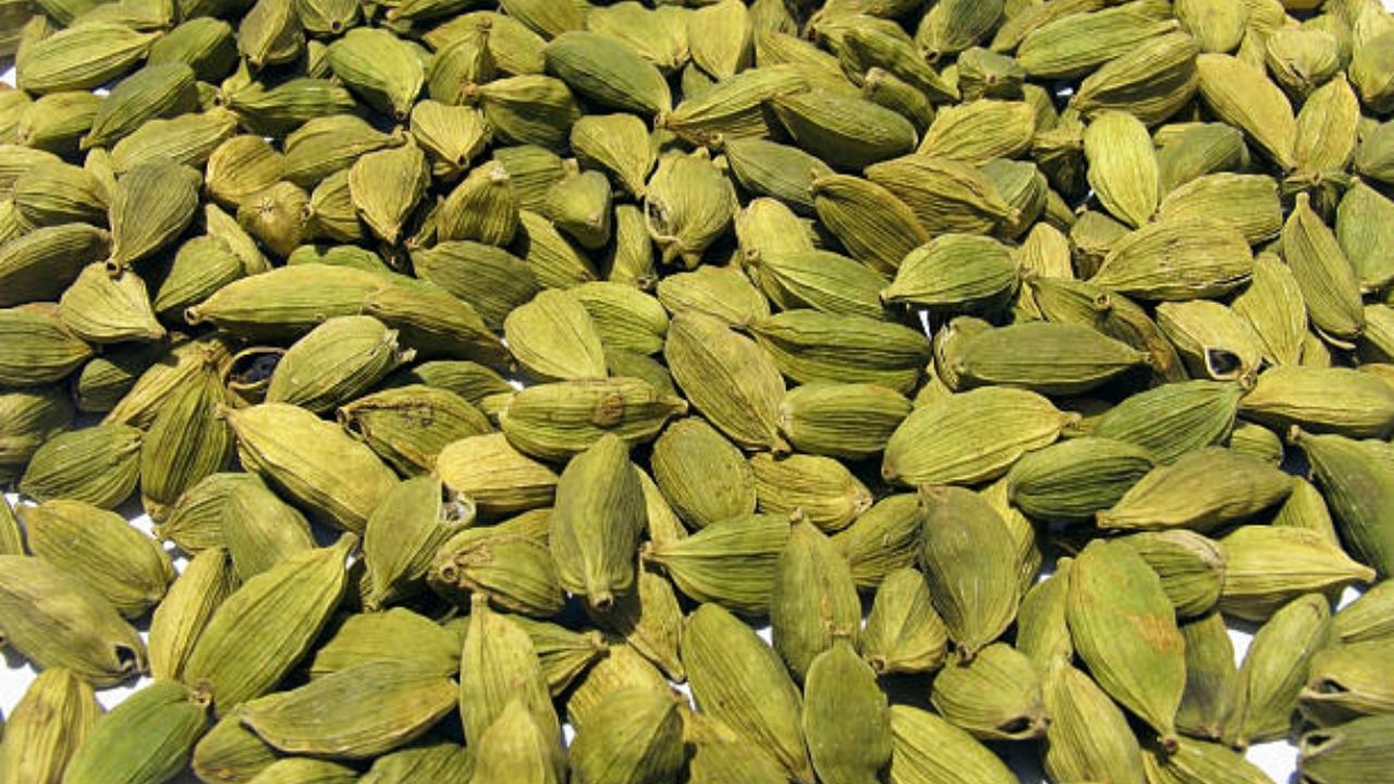 લીલી ઈલાયચીનો ઉપયોગ શાકભાજીથી લઈને મીઠાઈઓ સુધી અને માઉથ ફ્રેશનર તરીકે થાય છે. તે ડાયાબિટીસના દર્દીઓ માટે ખૂબ જ ફાયદાકારક માનવામાં આવે છે. તમે એલચીનું પાણી અથવા એલચીની ચા બનાવીને પી શકો છો. એલચીમાં કેલ્શિયમ, પોટેશિયમ, એન્ટીઓક્સીડેન્ટ જેવા પોષક તત્વો મળી આવે છે. તેનાથી તમે બ્લડ પ્રેશરને કંટ્રોલ કરી શકો છો