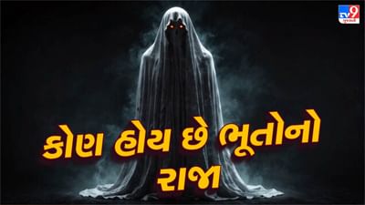 ગરુડ પુરાણમાં કહેવામાં આવ્યું છે કે મૃત્યુ પછી દરેક વ્યક્તિ ભૂત બની જાય છે. તેણે તેના જીવનમાં કેવા પ્રકારના કાર્યો કર્યા છે અને તેના દ્વારા કરાયેલા પાપ અને પુણ્ય કાર્યો નક્કી કરે છે કે તે મૃત્યુ પછી કયું ભૂત બનશે. હિંદુ ધર્મની માન્યતાઓ અનુસાર મૃત્યુ પામેલાઓને કર્મના આધારે અનેક કેટેગરીમાં મૂકવામાં આવ્યા છે.