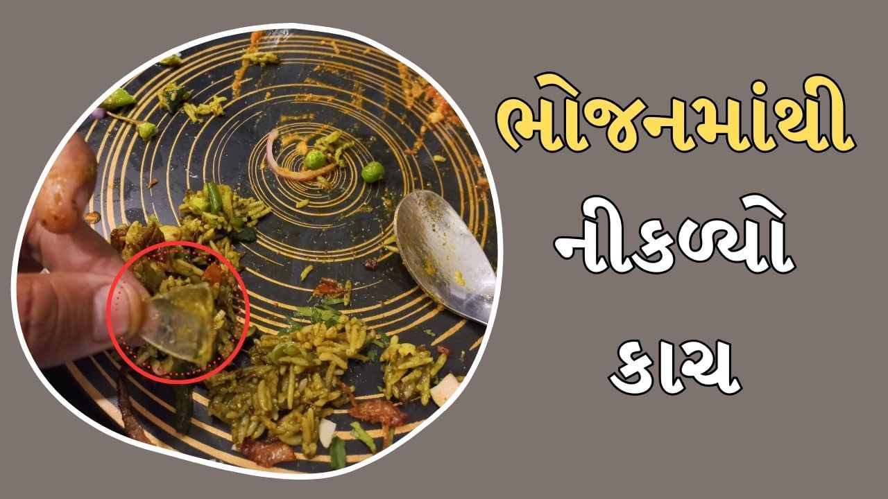 રેસ્ટોરેન્ટના જમવામાં ઈયળ કે જીવડું નહીં, મોટો કાચનો ટુકડો નીકળ્યો, જુઓ Video