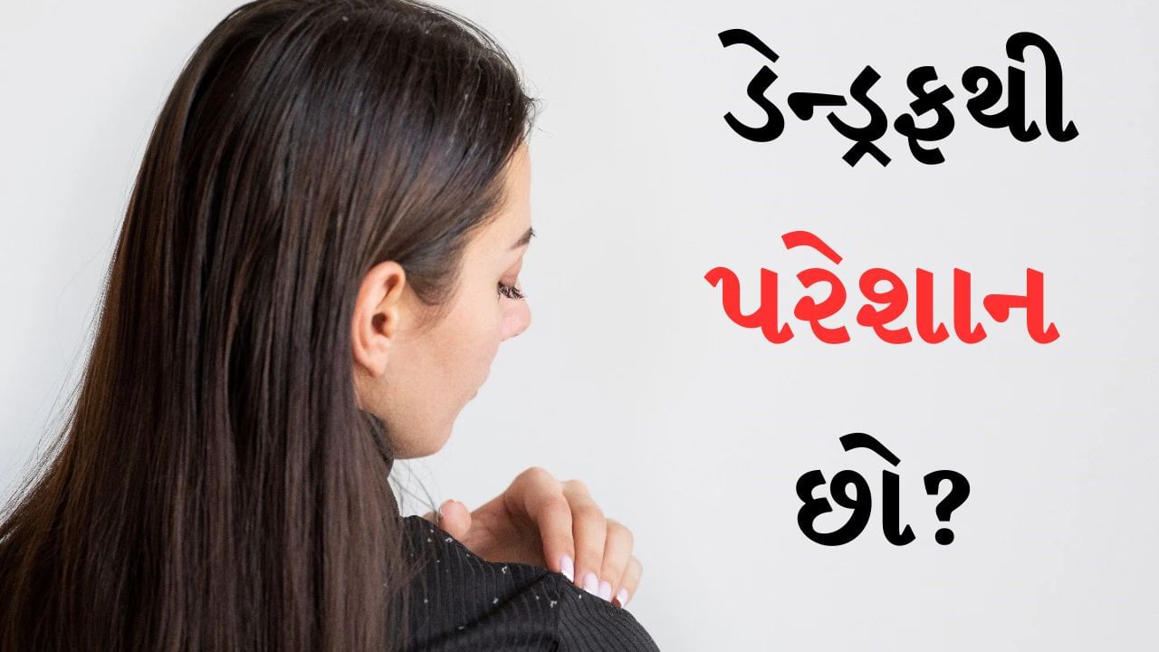 Winter Dandruff Care : જો તમે શિયાળાની ઋતુમાં તમારા વાળની ​​યોગ્ય કાળજી નહીં રાખો તો ડેન્ડ્રફની સમસ્યા શરૂ થઈ જશે. ડેન્ડ્રફ વાળ માટે એટલો ખતરનાક છે કે તેનાથી વાળ ખરી શકે છે. વાળના નિષ્ણાતો કહે છે કે ખોડો માથાની ચામડીને નબળી બનાવે છે. જેના કારણે વાળ ખરવા લાગે છે. આવી સ્થિતિમાં તમારા વાળને બને તેટલું ડેન્ડ્રફથી બચાવો.
