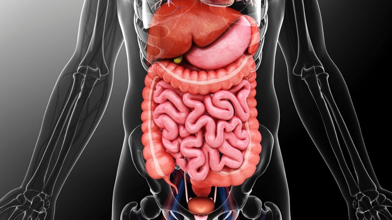 સફેદ માખણ અને ગોળ સાથે બાજરીની રોટલી ખાવાથી આપણી પાચનતંત્રમાં સુધારો થાય છે. આ આપણા પાચનતંત્રના ઉત્સેચકોને સ્વસ્થ બનાવે છે. જો તમે શિયાળામાં તમારા પેટને સ્વસ્થ રાખવા માંગતા હોવ તો બાજરી અને ગોળ ખાઓ.